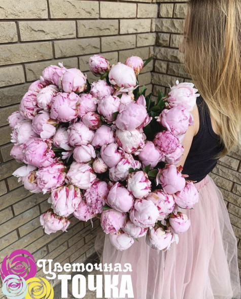 ПИОНЫ-ПИОНЫ 