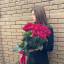 11 длинных красных роз